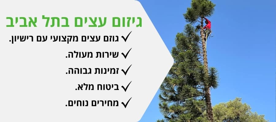 גיזום עצים בתל אביב