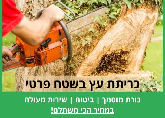 כריתת עץ בשטח פרטי