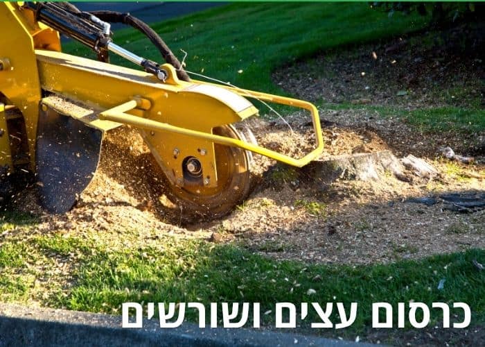 כרסום שורשים ועצים